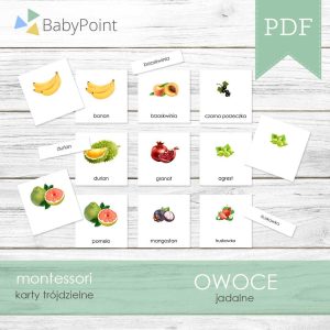OWOCE - Karty edukacyjne trójdzielne 14 x 14