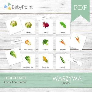 WARZYWA - Karty edukacyjne trójdzielne 14 x 14 - 10 szt