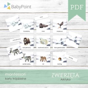 ZWIERZĘTA ARTYKI - Karty edukacyjne trójdzielne 14 x 14 - 20 szt