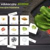 JEDZENIE - Zestaw edukacyjny