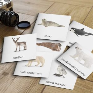 ZWIERZĘTA ARKTYKI SCHLEICH - Karty edukacyjne trójdzielne 14 x 14