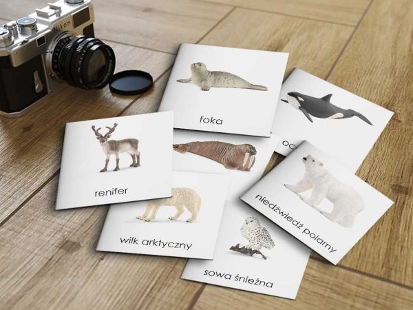 ZWIERZĘTA ARKTYKI SCHLEICH - Karty edukacyjne trójdzielne 14 x 14