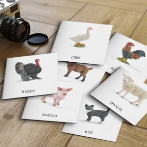 ZWIERZĘTA DOMOWE SCHLEICH - Karty edukacyjne trójdzielne 14 x 14