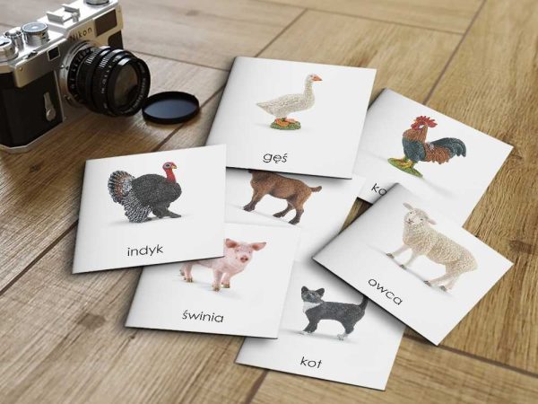 ZWIERZĘTA DOMOWE SCHLEICH - Karty edukacyjne trójdzielne 14 x 14