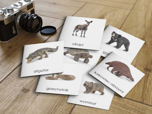 ZWIERZĘTA INNE SCHLEICH - Karty edukacyjne trójdzielne 14 x 14