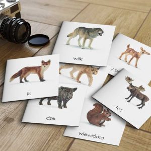 ZWIERZĘTA LEŚNE SCHLEICH - Karty edukacyjne trójdzielne 14 x 14