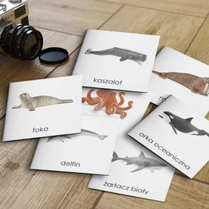 ZWIERZĘTA MORSKIE SCHLEICH - Karty edukacyjne trójdzielne 14 x 14