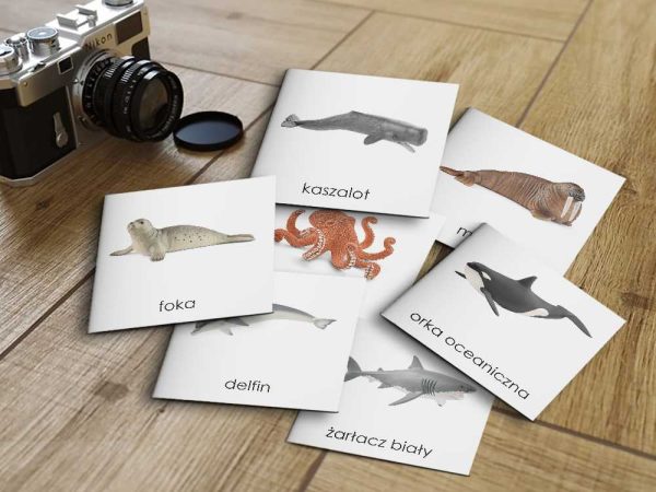 ZWIERZĘTA MORSKIE SCHLEICH - Karty edukacyjne trójdzielne 14 x 14