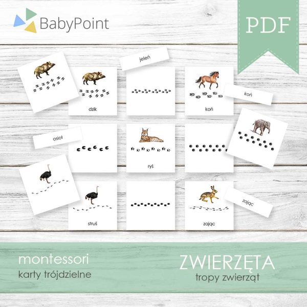 TROPY ZWIERZĄT - Karty edukacyjne trójdzielne 14 x 14 - 10 szt