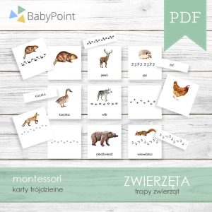 TROPY ZWIERZĄT - Karty edukacyjne trójdzielne 14 x 14 - 40 szt