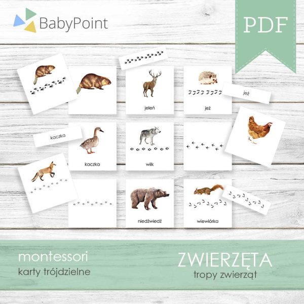 TROPY ZWIERZĄT - Karty edukacyjne trójdzielne 14 x 14 - 40 szt