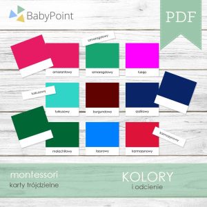 KOLORY - Karty edukacyjne trójdzielne 14 x 14 - 100 szt
