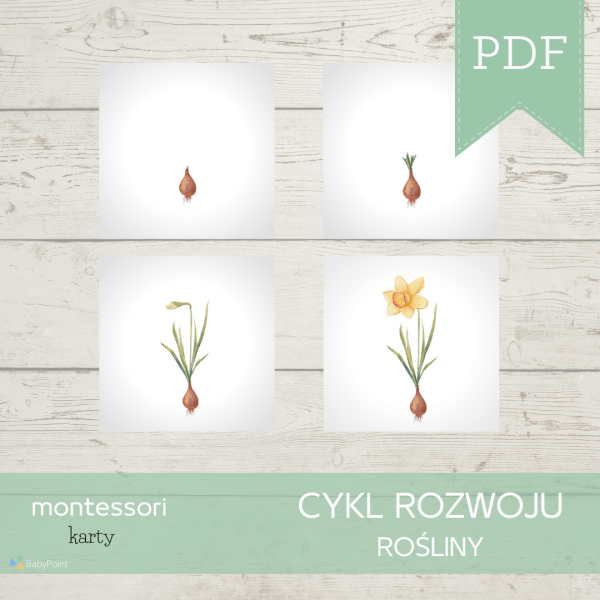 Kwiaty wiosenne