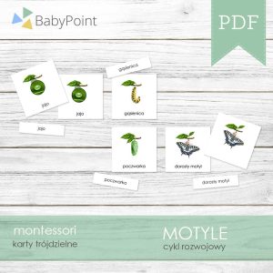 MOTYLE - Karty edukacyjne trójdzielne 14 x 14 - Cykl rozwojowy