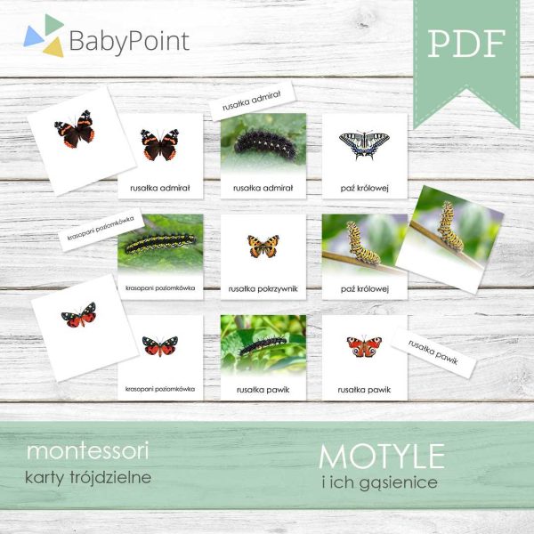 MOTYLE I GĄSIENICE - Karty edukacyjne trójdzielne 14 x 14