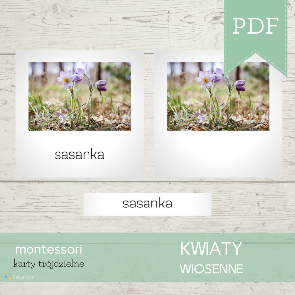 Kwiaty wiosenne