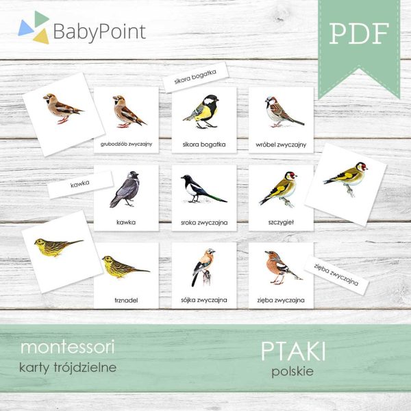 PTAKI - Karty edukacyjne trójdzielne 14 x 14 - 55 szt