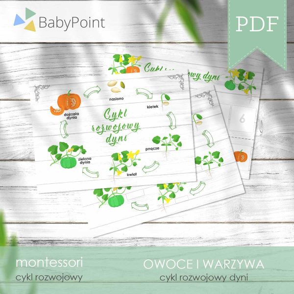 OWOCE I WARZYWA - Zestaw edukacyjny 3D