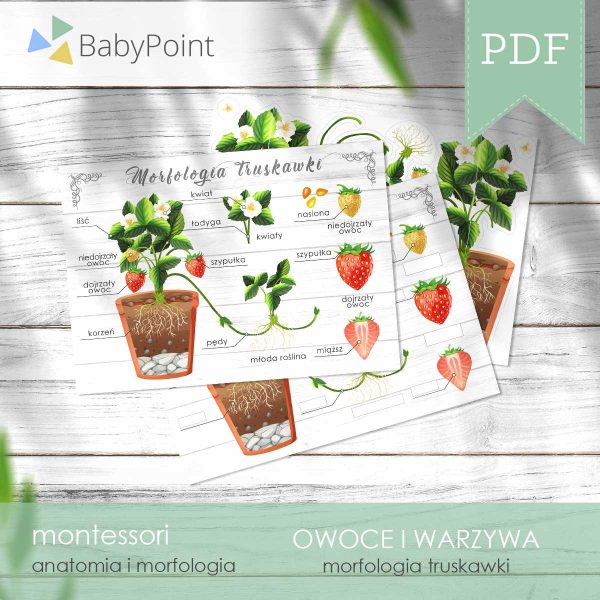 OWOCE I WARZYWA - Zestaw edukacyjny 3D