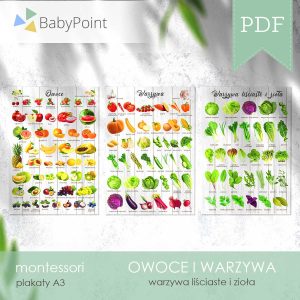 OWOCE I WARZYWA - Zestaw edukacyjny 3D