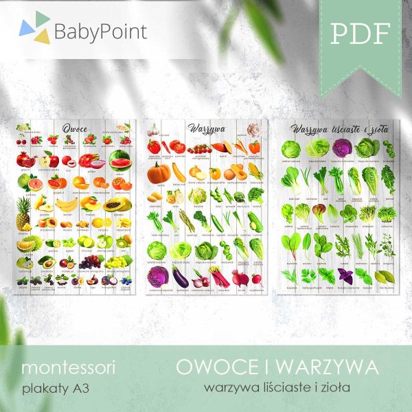 OWOCE I WARZYWA - Zestaw edukacyjny 3D