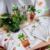 OWOCE I WARZYWA - Zestaw edukacyjny 3D