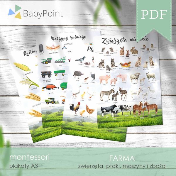 FARMA - Zestaw edukacyjny 3D