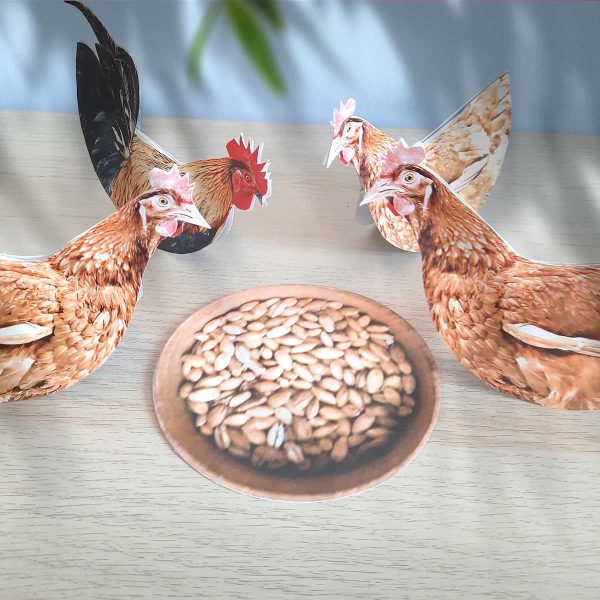FARMA - Zestaw edukacyjny 3D