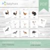 FARMA - Zestaw edukacyjny 3D