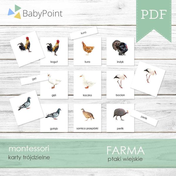 FARMA - Zestaw edukacyjny 3D