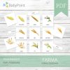 FARMA - Zestaw edukacyjny 3D