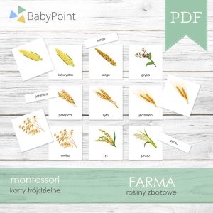 FARMA - Zestaw edukacyjny 3D