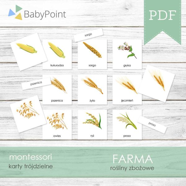 FARMA - Zestaw edukacyjny 3D