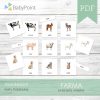 FARMA - Zestaw edukacyjny 3D