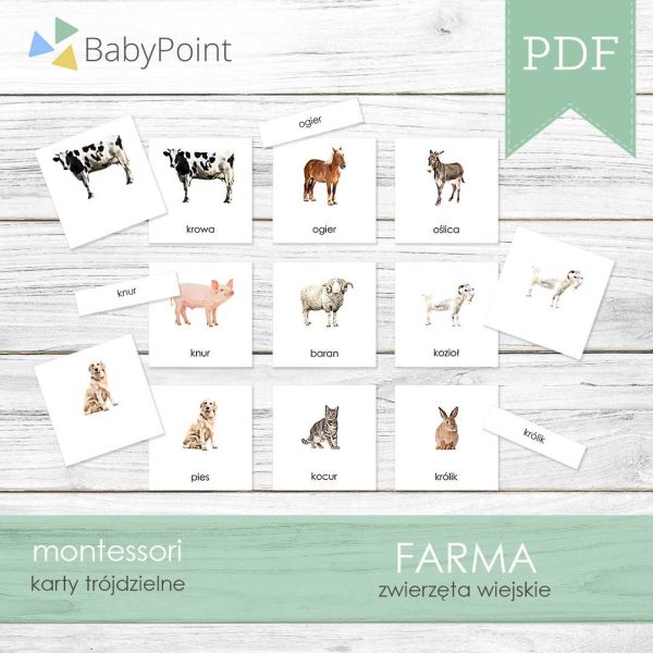 FARMA - Zestaw edukacyjny 3D