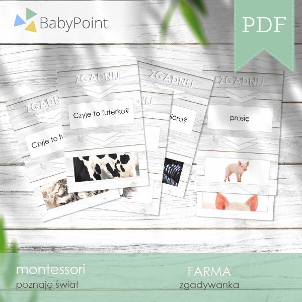FARMA - Zestaw edukacyjny 3D