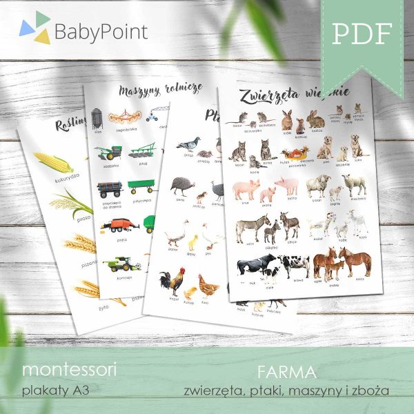 FARMA - Zestaw edukacyjny 3D