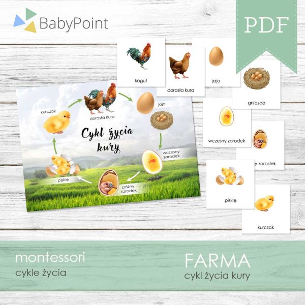 FARMA - Zestaw edukacyjny 3D