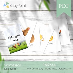 FARMA - Cykl życia kury - Układanka warstwowa