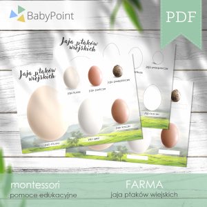 FARMA - Jaja ptaków wiejskich