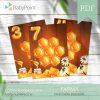 FARMA - Pszczoły - Karty numeryczne