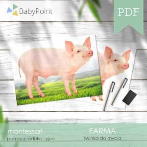 FARMA - Świnka do mycia