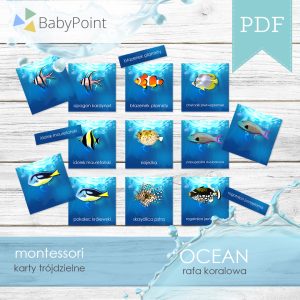 OCEAN - Rafa koralowa - Karty edukacyjne trójdzielne 14 x 14 - 36 szt