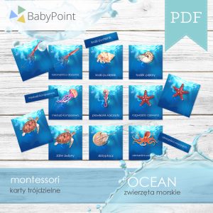 OCEAN-Karty-edukacyjne-trojdzielne-Zwierzeta-morskie-Projekt1-All