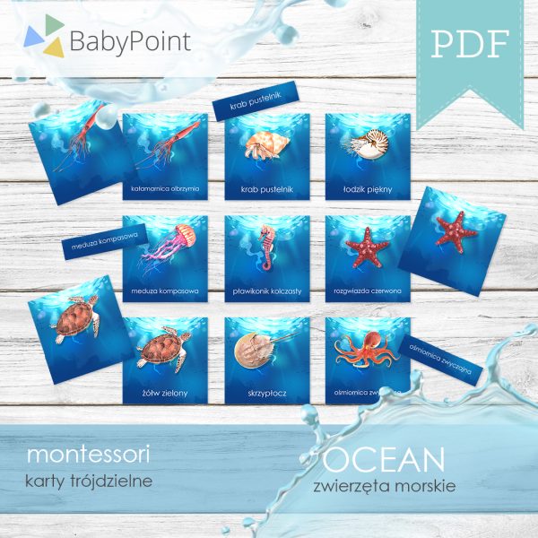 OCEAN-Karty-edukacyjne-trojdzielne-Zwierzeta-morskie-Projekt1-All