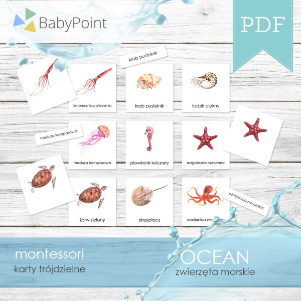 OCEAN-Karty-edukacyjne-trojdzielne-Zwierzeta-morskie-Projekt1-All