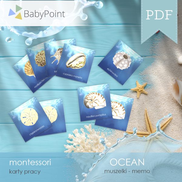 OCEAN - Muszelki - Karty edukacyjne - Memo