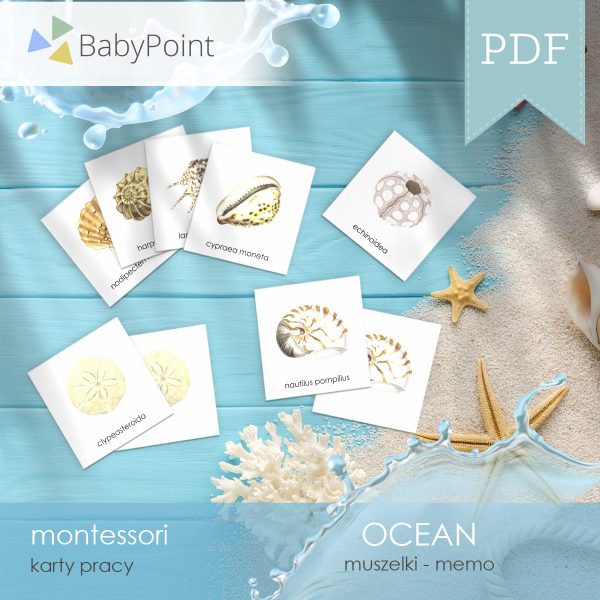 OCEAN - Muszelki - Karty edukacyjne - Memo