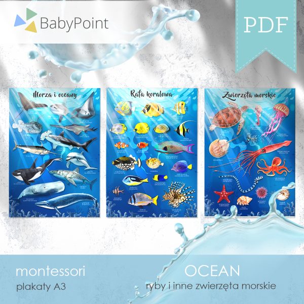 OCEAN - Plakaty A3
