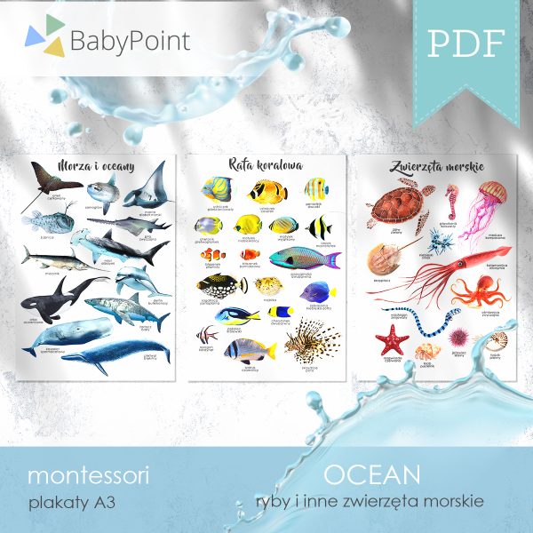 OCEAN - Plakaty A3
